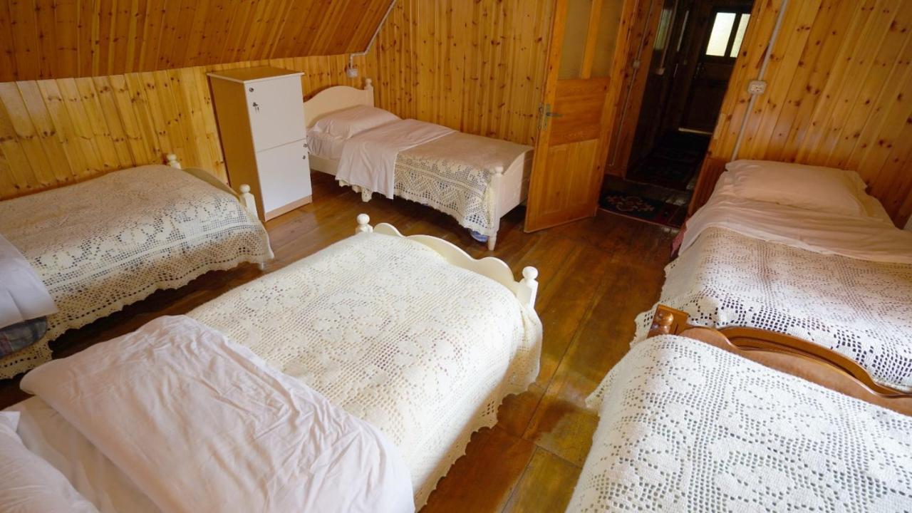 Bujtina Tradicionale Hotel Lepushe Bagian luar foto